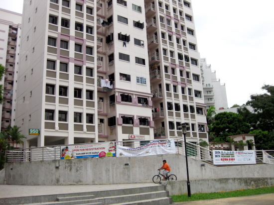 Blk 950 Hougang Street 91 (Hougang), HDB 5 Rooms #239462